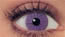 Violet Contacts
